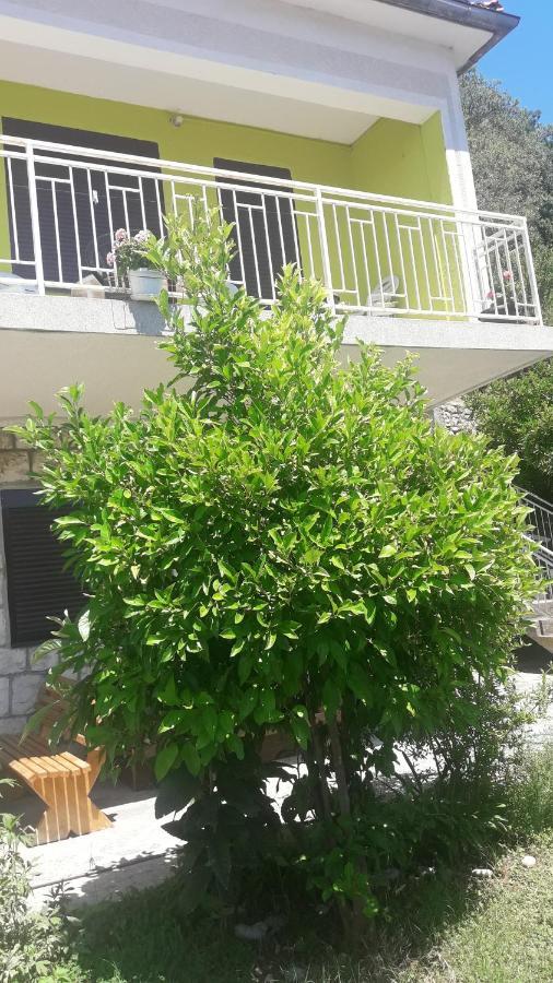 Apartment Dragone Ulcinj Ngoại thất bức ảnh