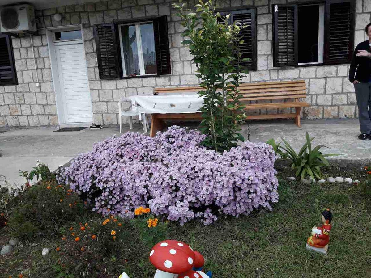 Apartment Dragone Ulcinj Ngoại thất bức ảnh